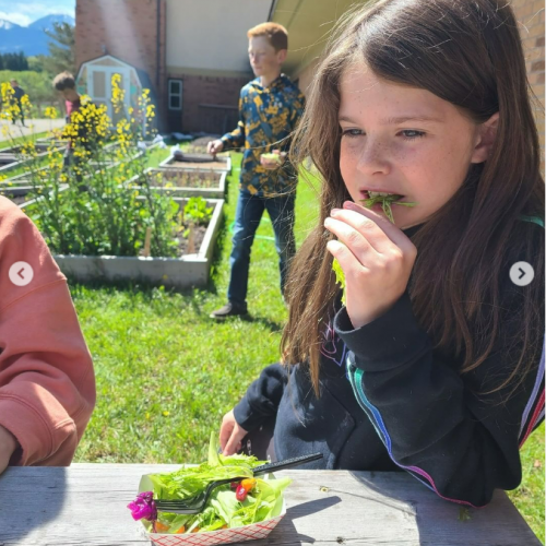 five park county 2 five park county 2