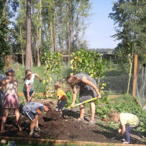 Sweetpea-Kalispell-YES2 Sweetpea-Kalispell-YES2