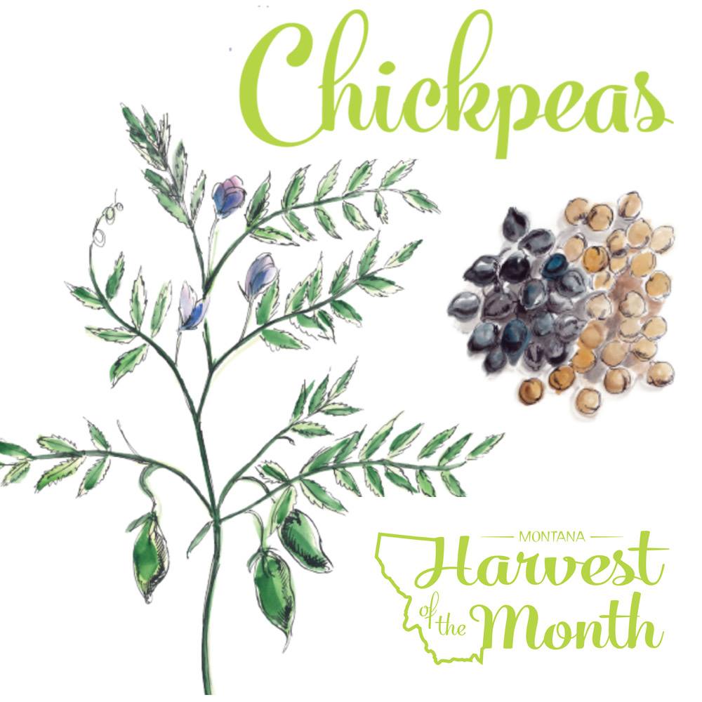 HOM21_Chickpeas_SocialPost HOM21_Chickpeas_SocialPost