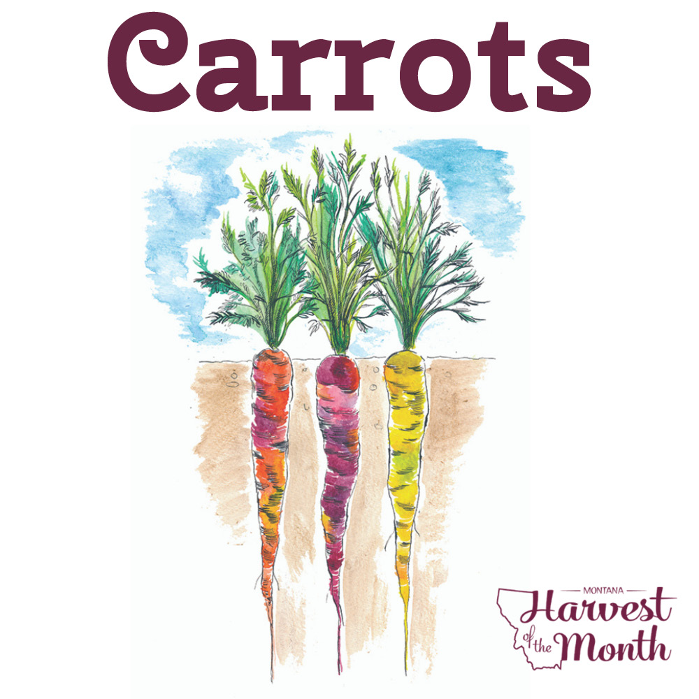 HOM21_Carrots_SocialPost HOM21_Carrots_SocialPost