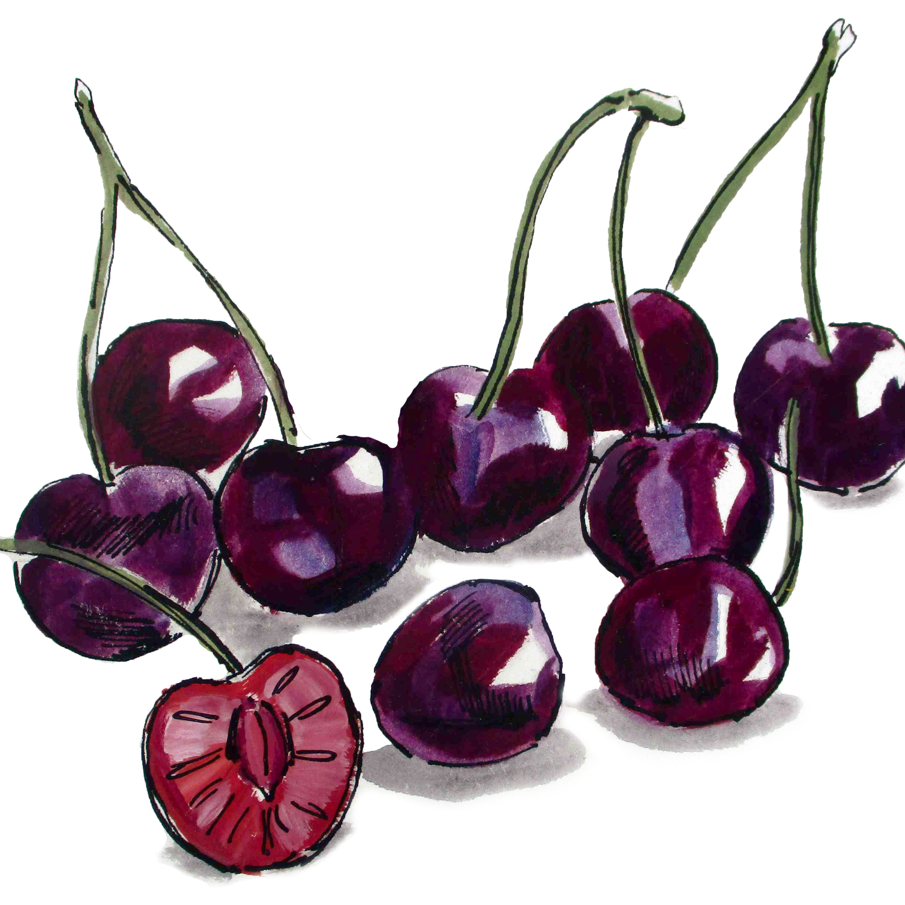 HOM_Illustration_Cherries1 HOM_Illustration_Cherries1