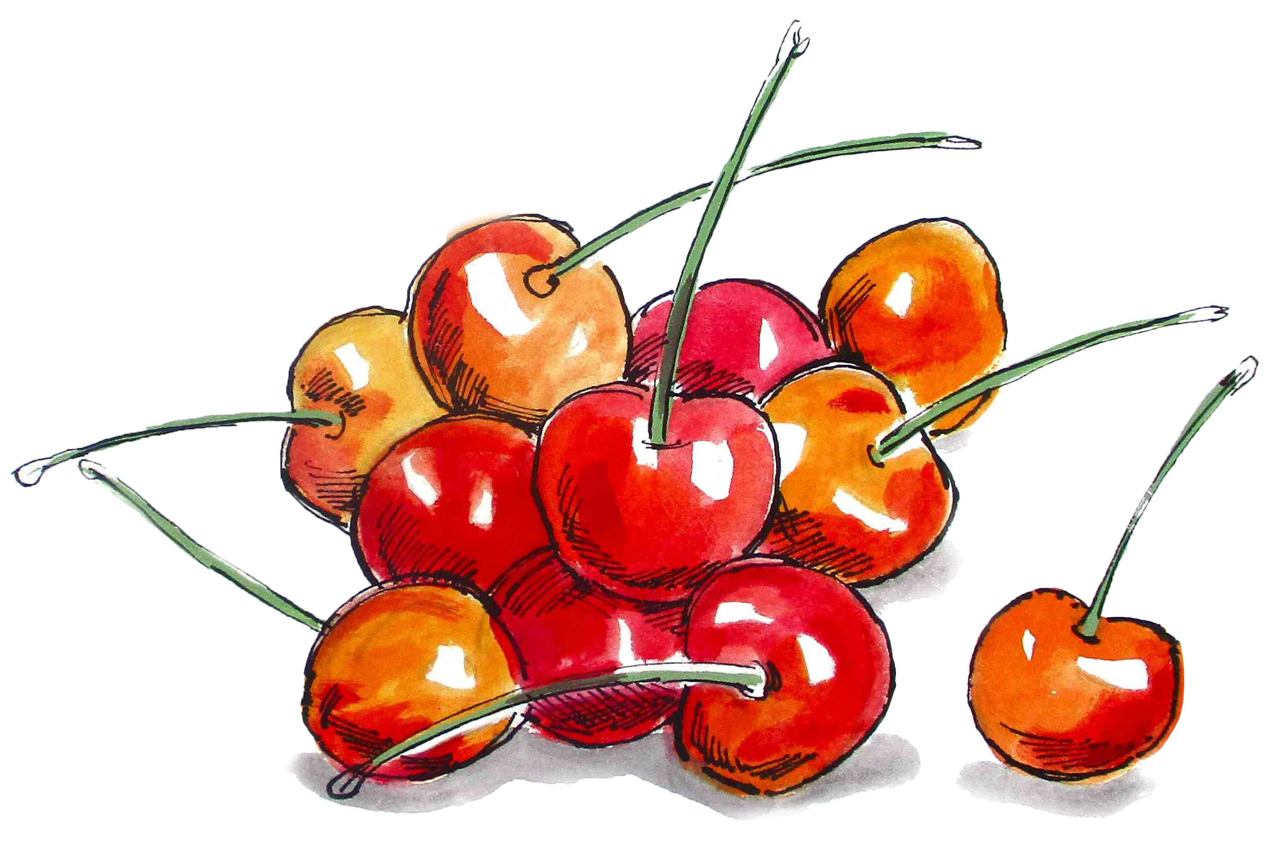 HOM_Illustration_Cherries3 HOM_Illustration_Cherries3