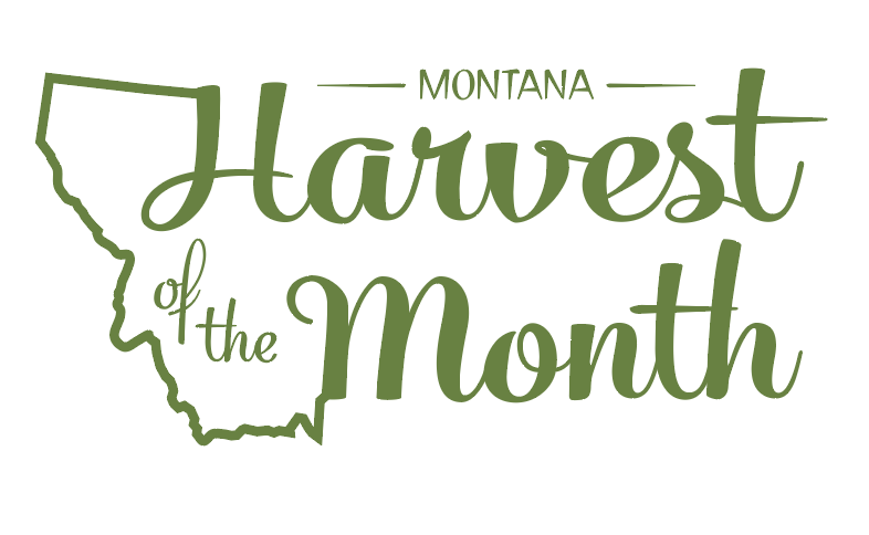 HOM_Logo_Green_Cherries HOM_Logo_Green_Cherries