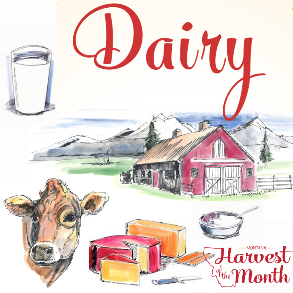 HOM21_Dairy_SocialPost HOM21_Dairy_SocialPost