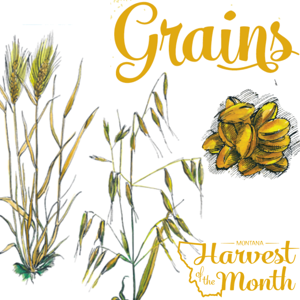 HOM21_Grains_SocialPost HOM21_Grains_SocialPost