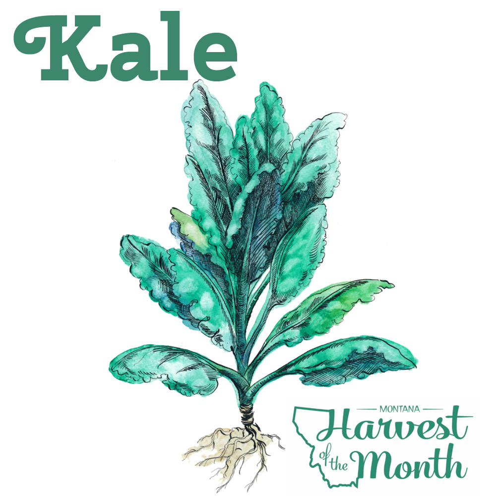 HOM21_Kale_SocialPost HOM21_Kale_SocialPost