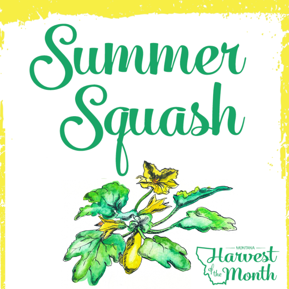HOM21_SummerSquash_SocialPost HOM21_SummerSquash_SocialPost
