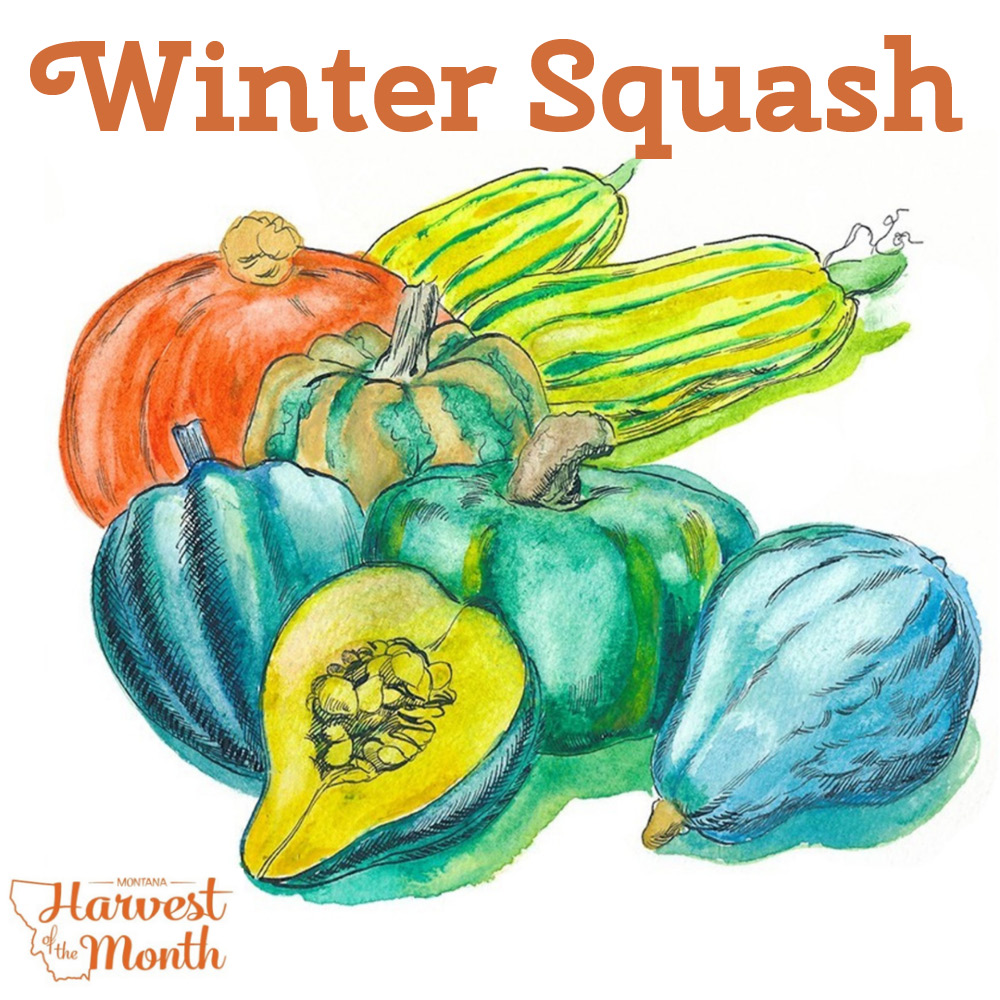 HOM21_WinterSquash_SocialPost HOM21_WinterSquash_SocialPost