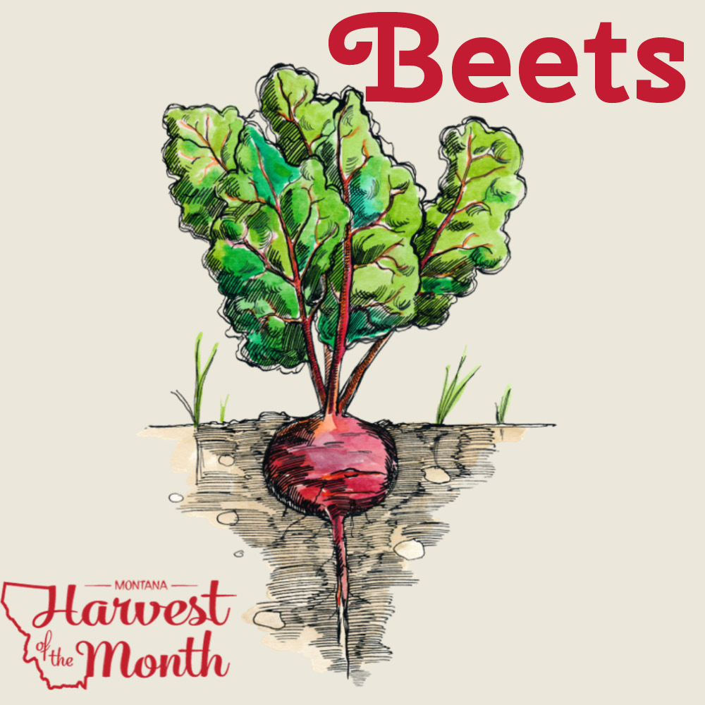 HOM21_Beets_SocialPost HOM21_Beets_SocialPost