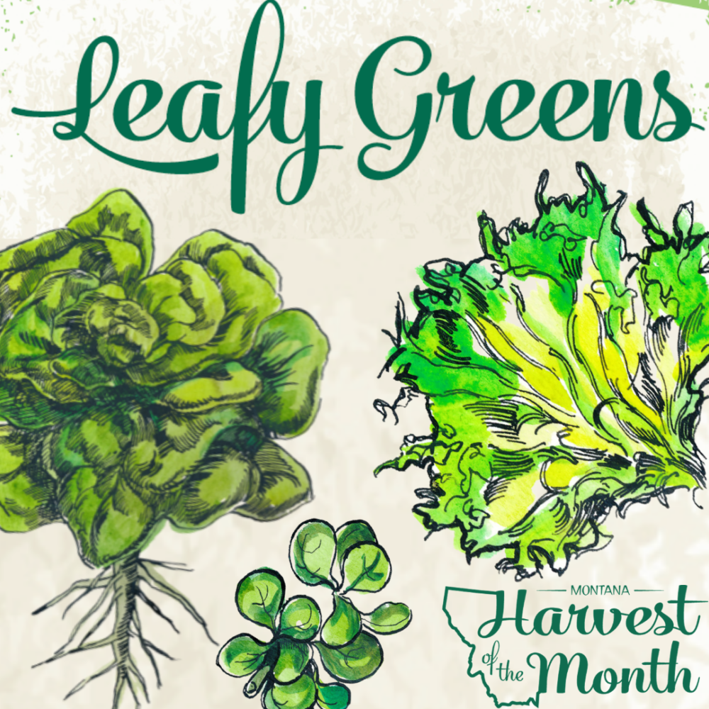 HOM21_LeafyGreens_SocialPost HOM21_LeafyGreens_SocialPost